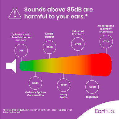 EarHub Sleepwell Premium Soft Foam Earplugs Purple 10 Pairs